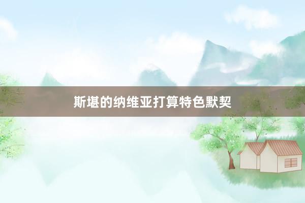 斯堪的纳维亚打算特色默契