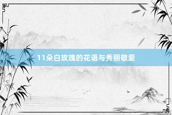 11朵白玫瑰的花语与秀丽敬爱