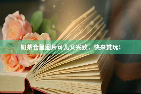 奶茶仓鼠图片可儿又兴致，快来赏玩！