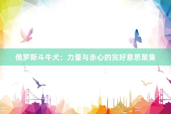 俄罗斯斗牛犬：力量与赤心的完好意思聚集